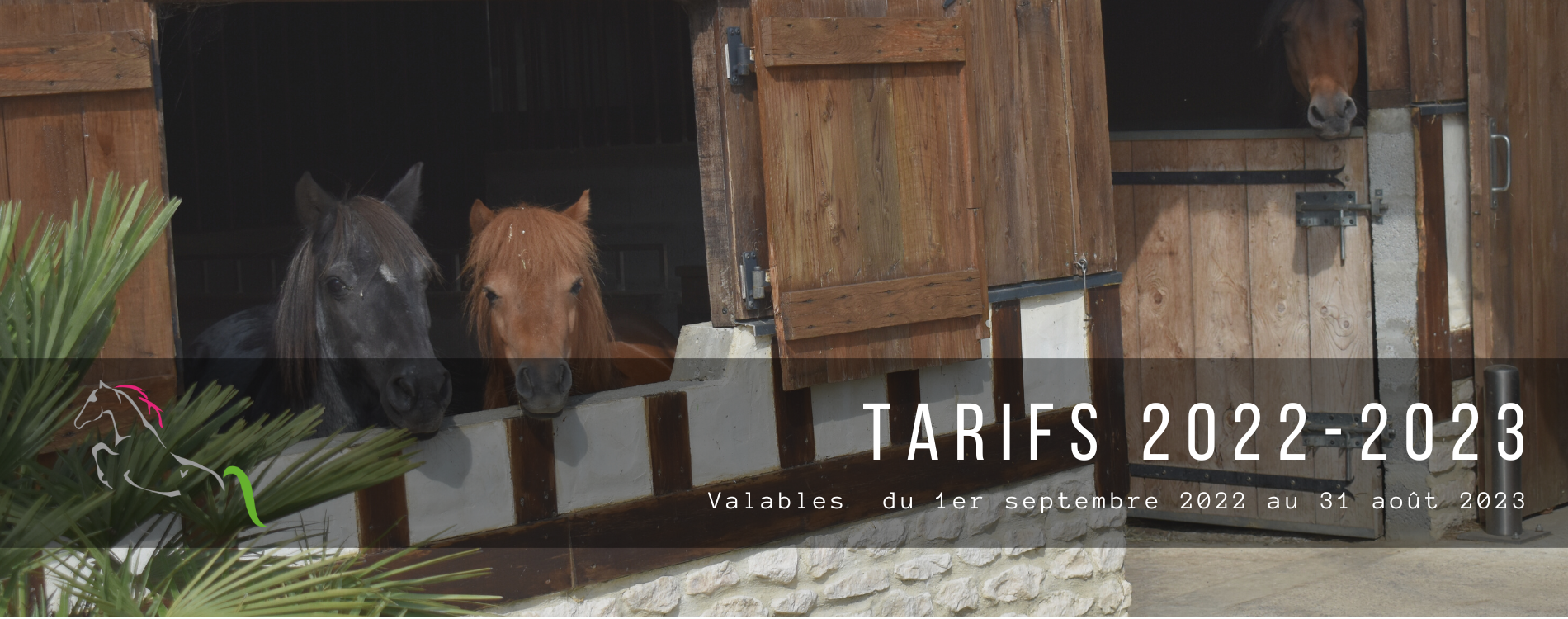 stages centre equestre cabouurg des picotains normandie