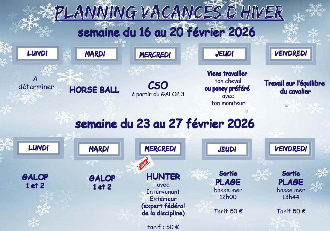 Capture Equitation stage, vacances scolaires période de février aux alentours de Cabourg, houlgate, home varaville, Dives sur mer, Dozulé , troarn. cso, équi fun,dressage et diverses activités Balade en main pour les petits