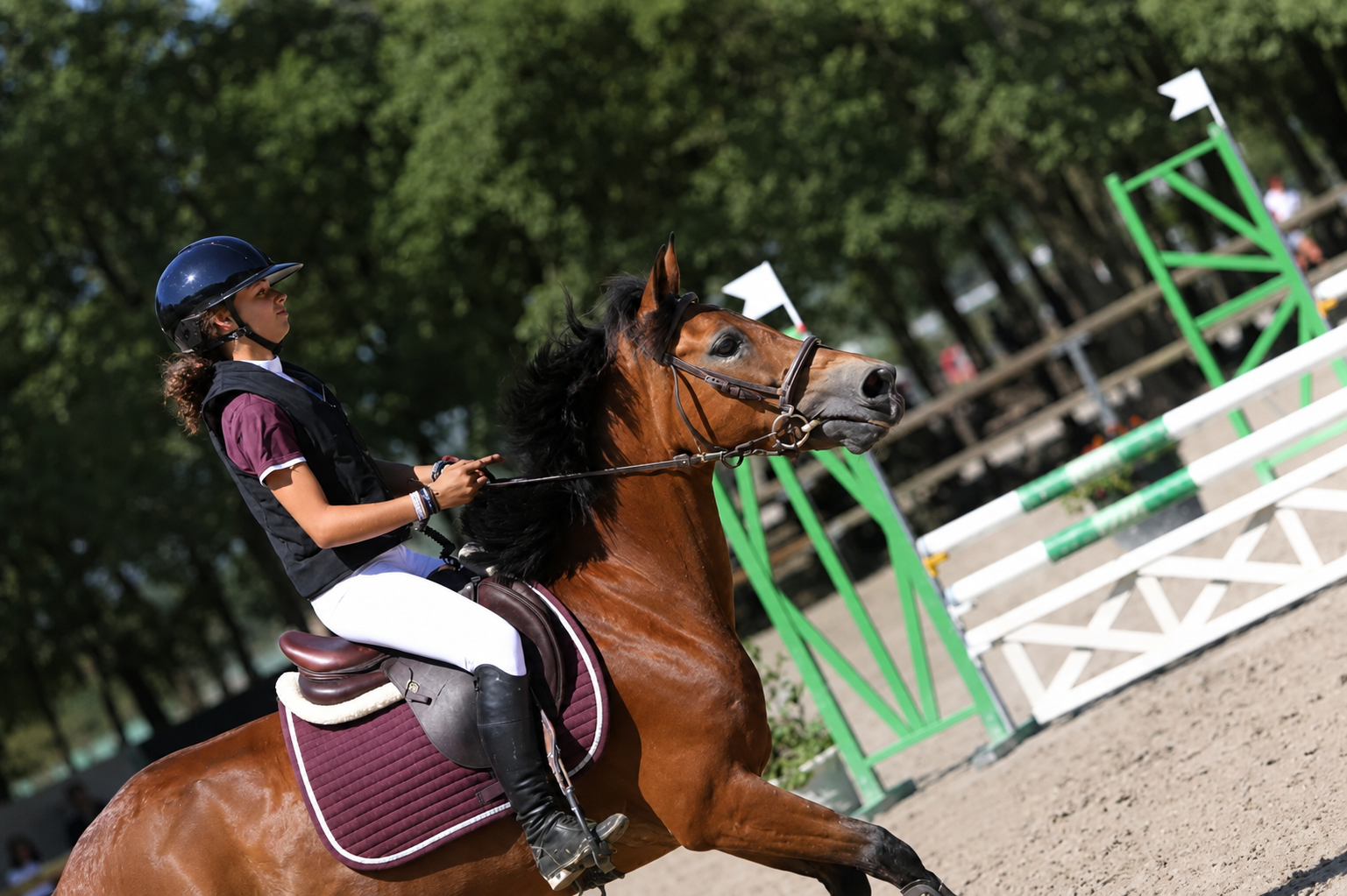 EQUITATION COMPETITION CONCOURS CSO CENTRE EQUESTRE PONEY CLUB ALENTOURS CABOURG, DIVES SUR MER, HOULGATE, DOZULE, TROARN, ARGENCES<br />
championnat de france