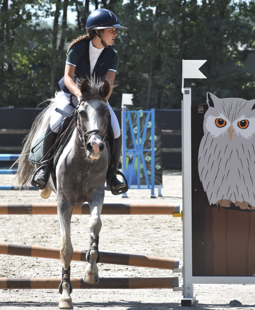 EQUITATION COMPETITION CONCOURS CSO CENTRE EQUESTRE PONEY CLUB ALENTOURS CABOURG, DIVES SUR MER, HOULGATE, DOZULE, TROARN, ARGENCES<br />
championnat de france