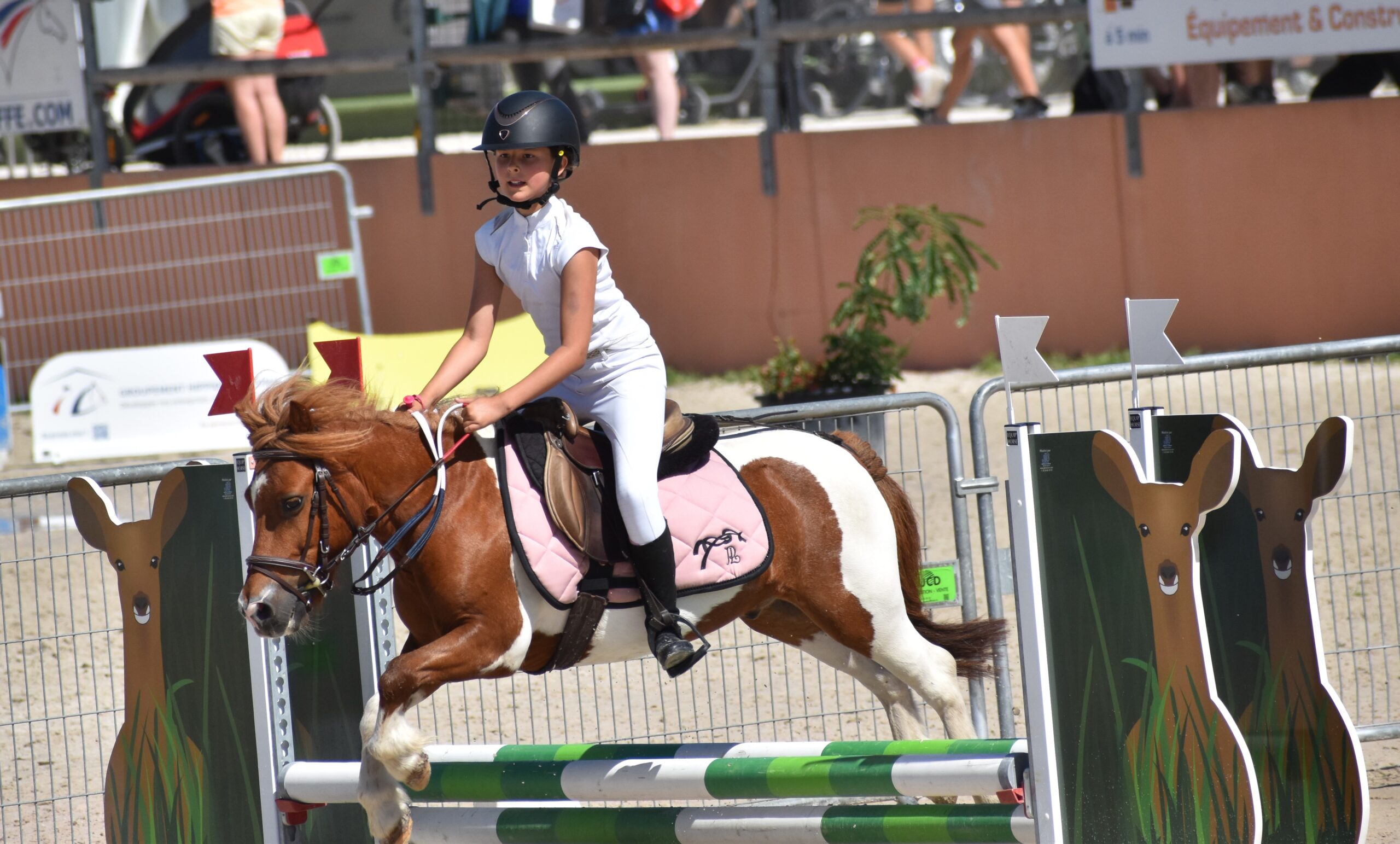 EQUITATION COMPETITION CONCOURS CSO CENTRE EQUESTRE PONEY CLUB ALENTOURS CABOURG, DIVES SUR MER, HOULGATE, DOZULE, TROARN, ARGENCES<br />
championnat de france