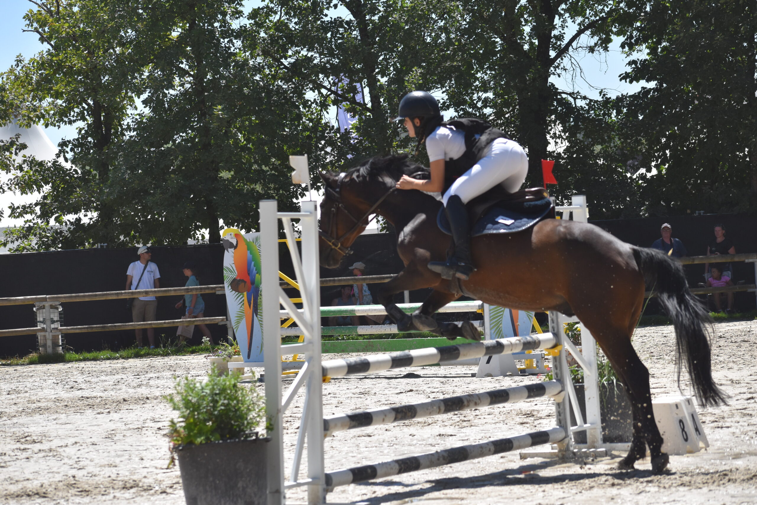 EQUITATION COMPETITION CONCOURS CSO CENTRE EQUESTRE PONEY CLUB ALENTOURS CABOURG, DIVES SUR MER, HOULGATE, DOZULE, TROARN, ARGENCES<br />
championnat de france