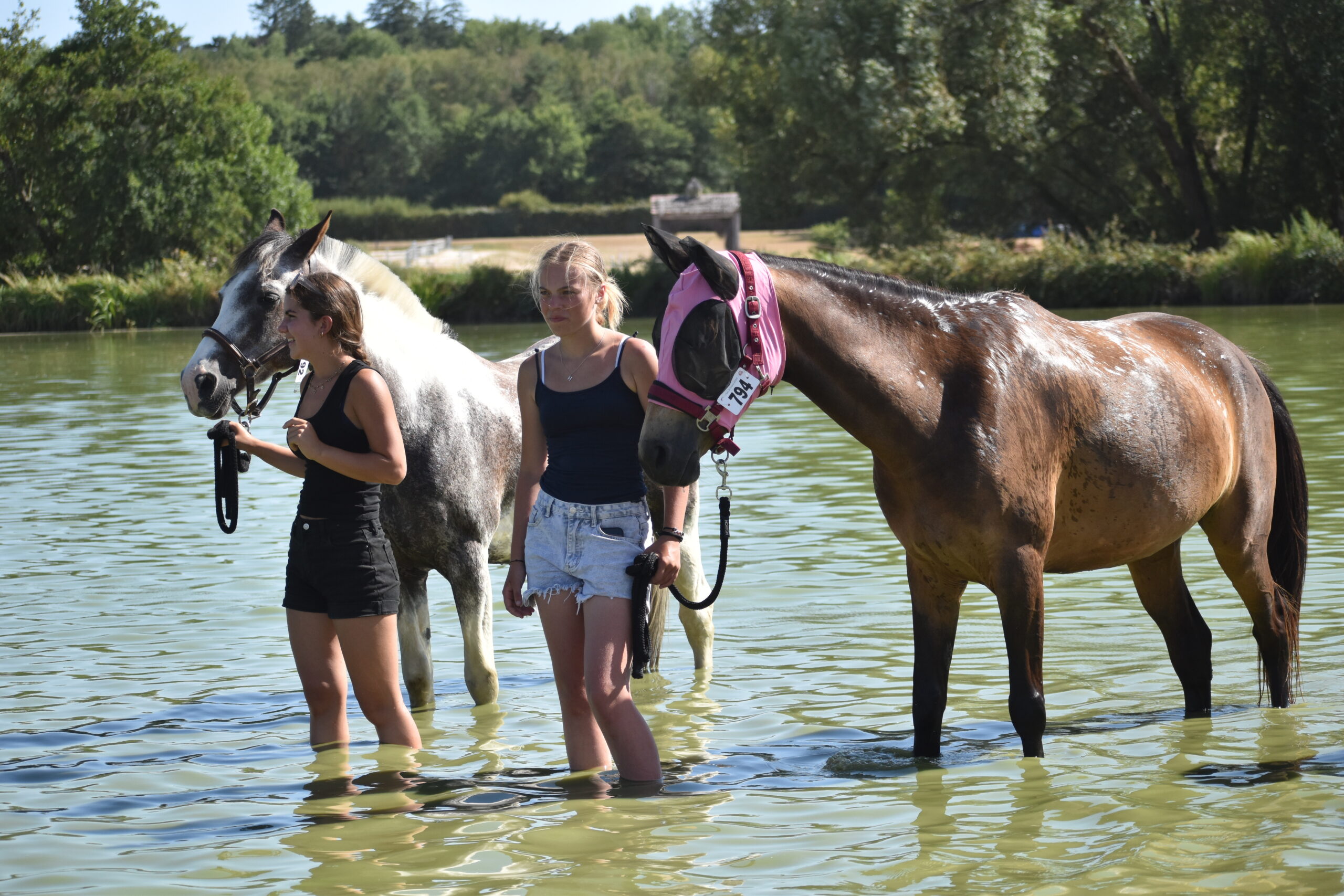 EQUITATION COMPETITION CONCOURS CSO CENTRE EQUESTRE PONEY CLUB ALENTOURS CABOURG, DIVES SUR MER, HOULGATE, DOZULE, TROARN, ARGENCES<br />
championnat de france