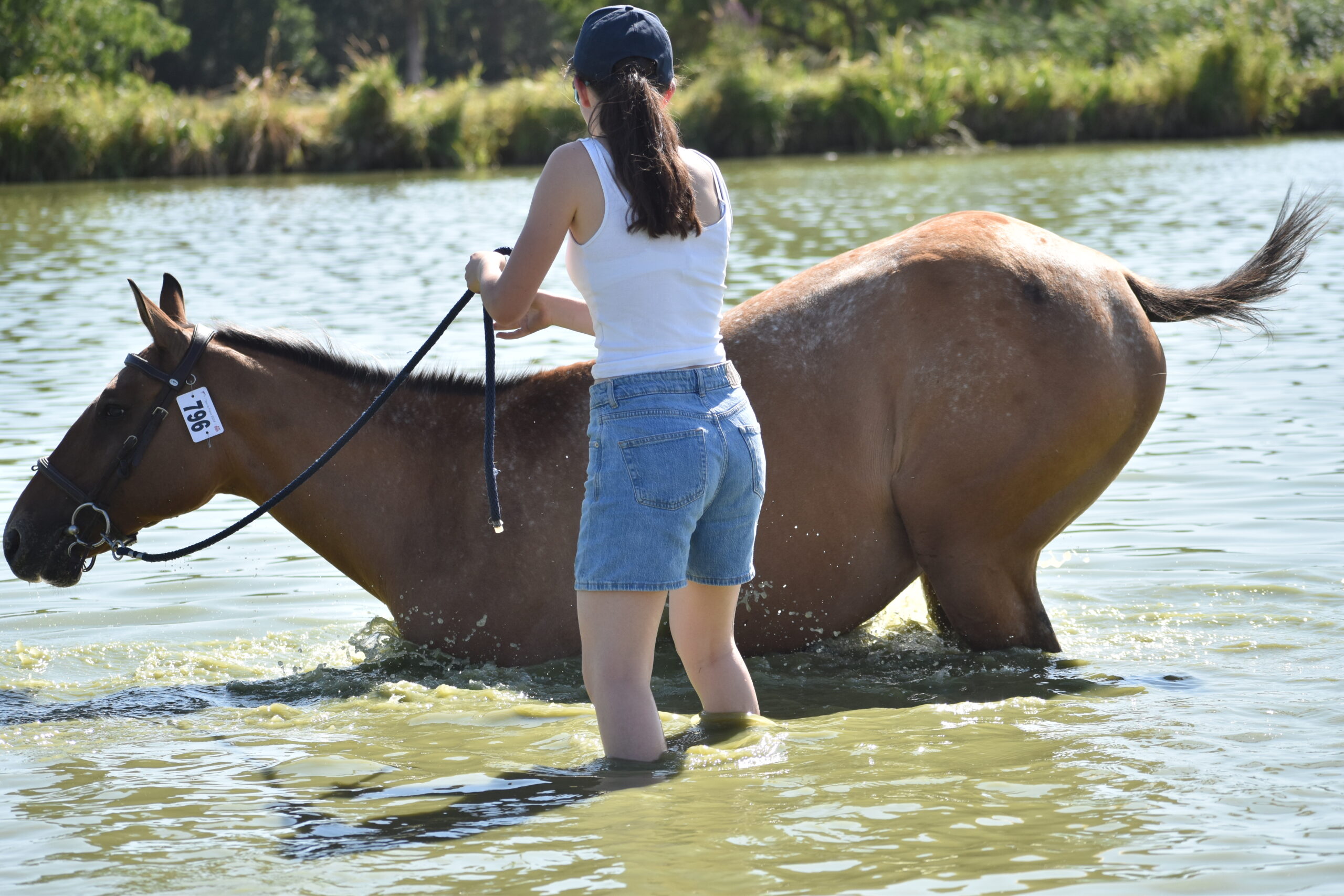 EQUITATION COMPETITION CONCOURS CSO CENTRE EQUESTRE PONEY CLUB ALENTOURS CABOURG, DIVES SUR MER, HOULGATE, DOZULE, TROARN, ARGENCES<br />
championnat de france
