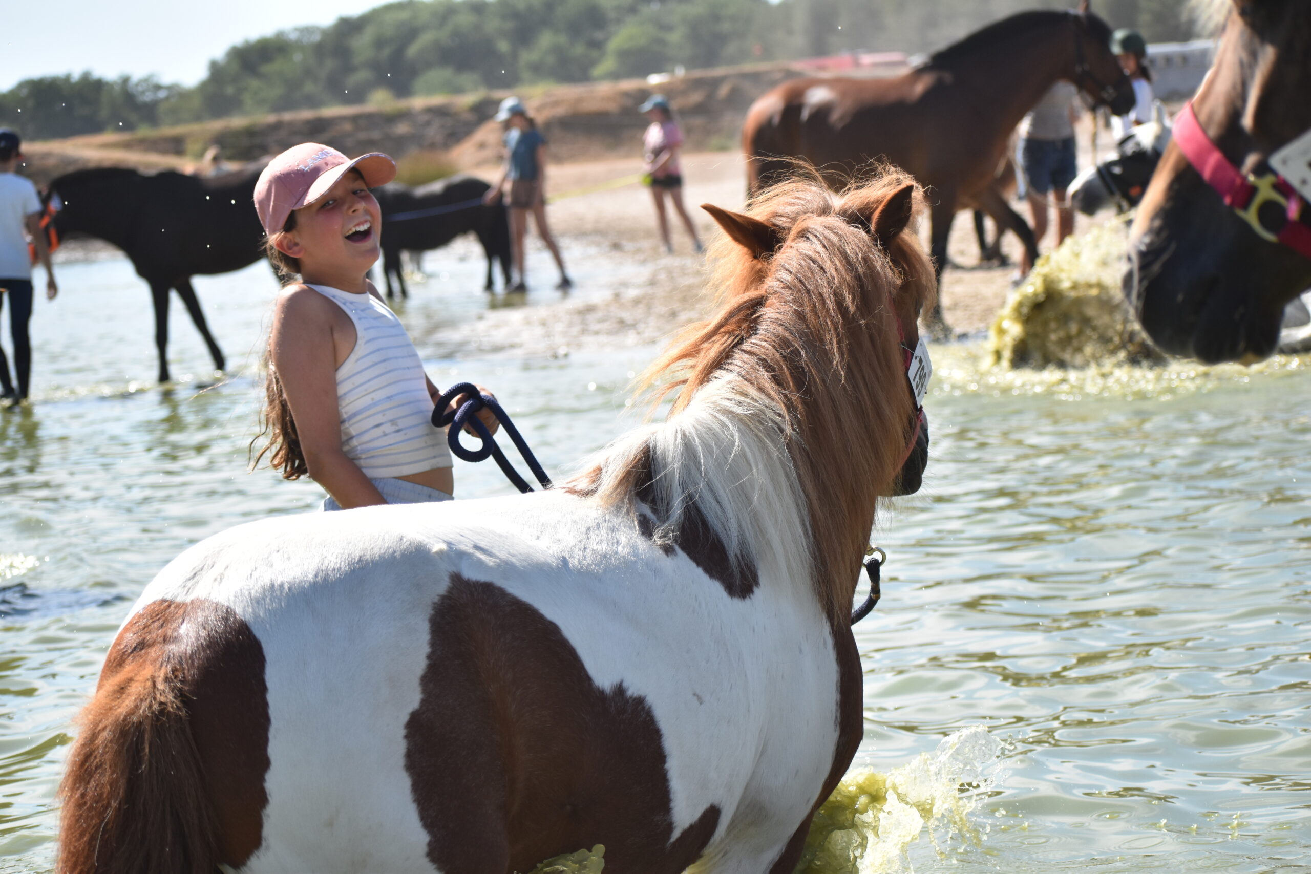 EQUITATION COMPETITION CONCOURS CSO CENTRE EQUESTRE PONEY CLUB ALENTOURS CABOURG, DIVES SUR MER, HOULGATE, DOZULE, TROARN, ARGENCES<br />
championnat de france