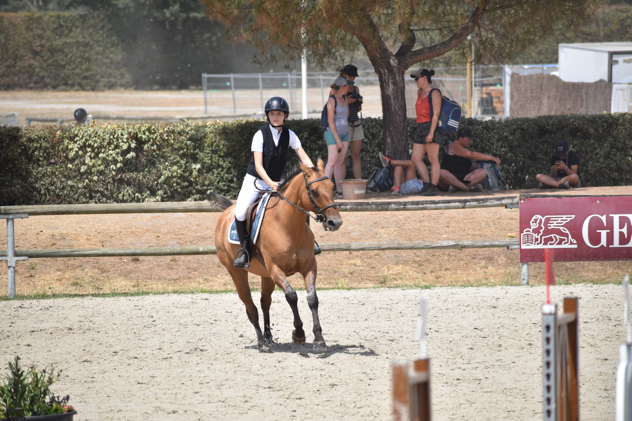 EQUITATION COMPETITION CONCOURS CSO CENTRE EQUESTRE PONEY CLUB ALENTOURS CABOURG, DIVES SUR MER, HOULGATE, DOZULE, TROARN, ARGENCES<br />
championnat de france