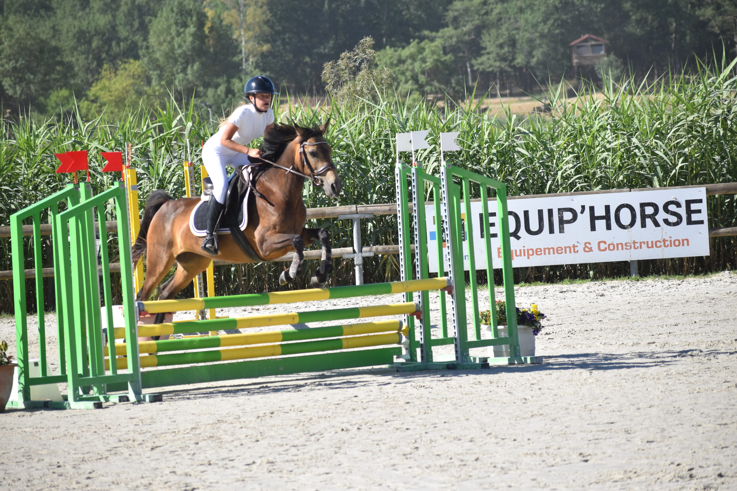 EQUITATION COMPETITION CONCOURS CSO CENTRE EQUESTRE PONEY CLUB ALENTOURS CABOURG, DIVES SUR MER, HOULGATE, DOZULE, TROARN, ARGENCES<br />
championnat de france