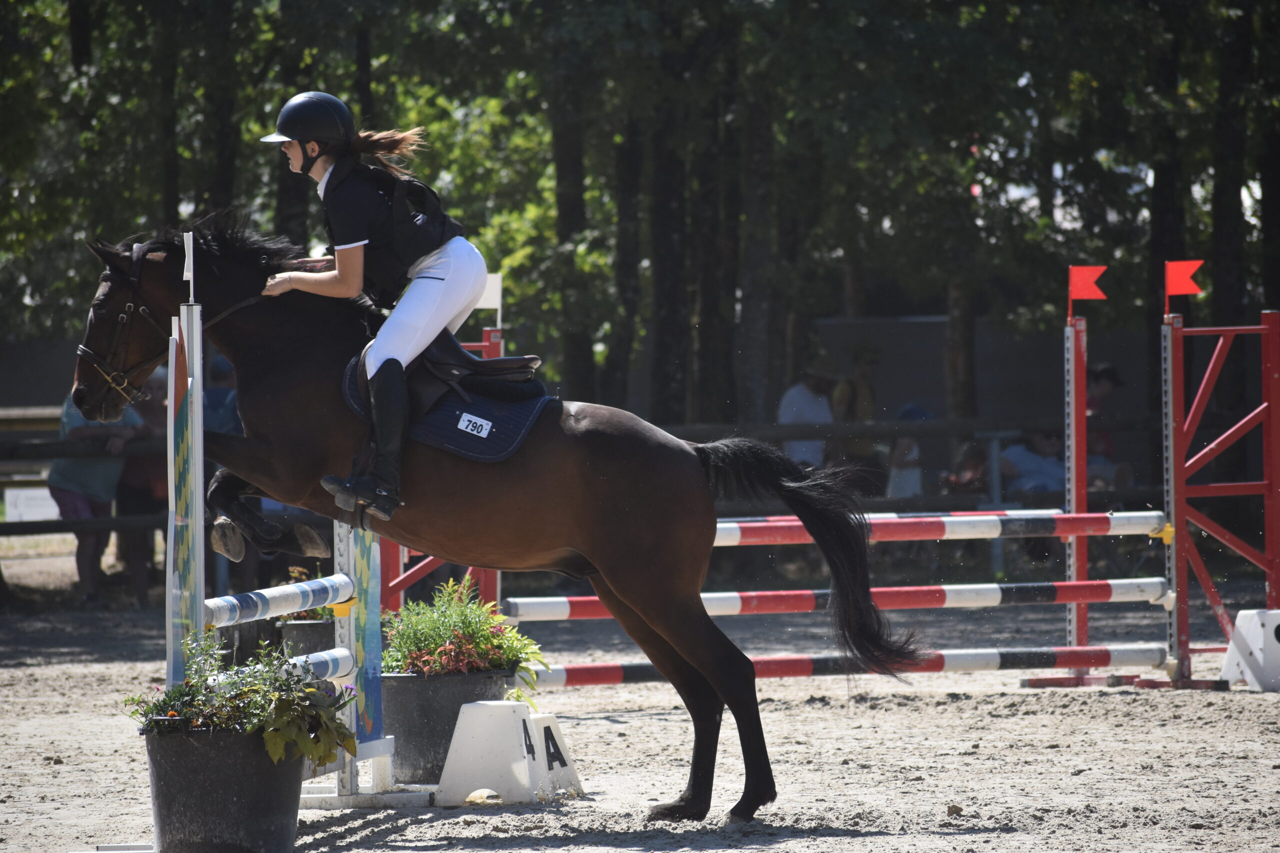 EQUITATION COMPETITION CONCOURS CSO CENTRE EQUESTRE PONEY CLUB ALENTOURS CABOURG, DIVES SUR MER, HOULGATE, DOZULE, TROARN, ARGENCES<br />
championnat de france